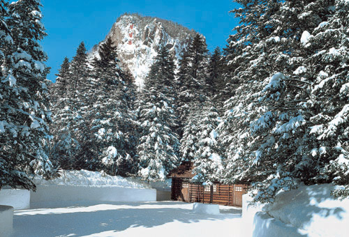 The Native Home with Snow Flowers